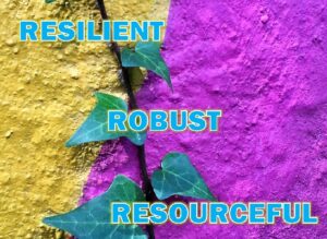 Resilient, Resourceful, and Robust: Three Pillars of Project Risk Management